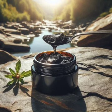 Kashmiri Shilajit
