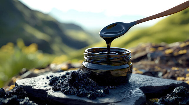 Kashmiri Shilajit